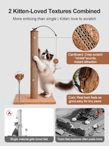Cat Scratching Post with Snack Ball & Feather Toys for Kitten