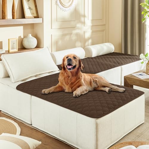 Waterproof Blanket for Dogs (40x50 Inch (Pack of 1) / Dark Chocolate)