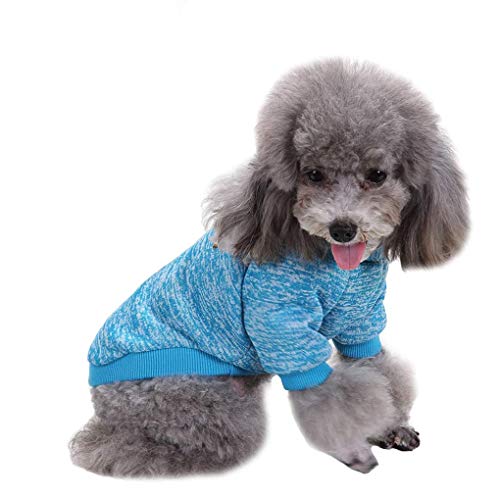 Dog Sweaters for Small Dogs (Light blue / XX-Small)