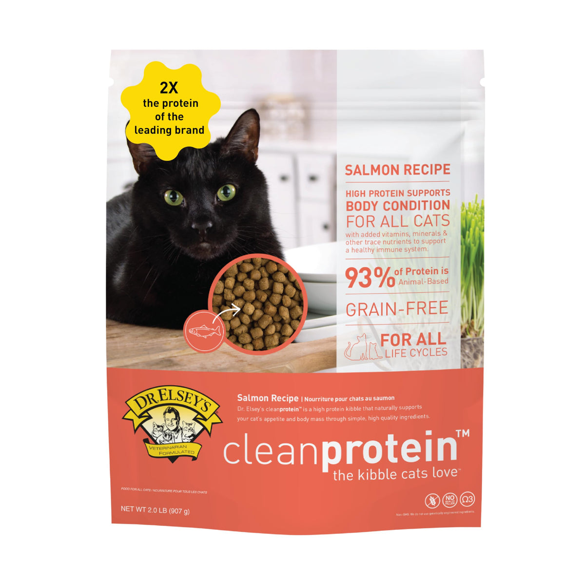 Cleanprotein Salmon Formula Dry Cat Food (2 Pound (Pack of 1))