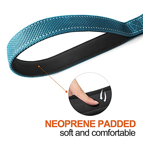 5FT 1IN Heavy Duty Dog Leash for Large Dogs with 2 Padded Handles (Blue / 1 in x 5 ft)