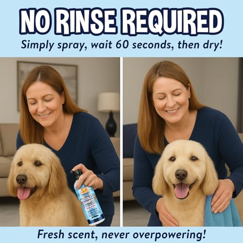 Waterless Shampoo