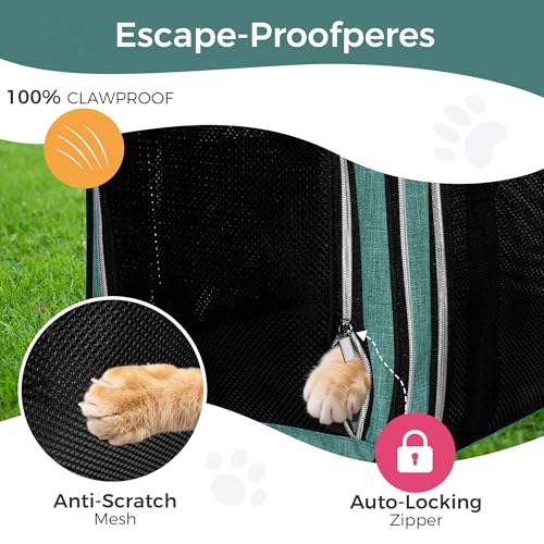 Pet Travel Carrier (Green / 17.0"L x 11.0"W x 12.0"H)