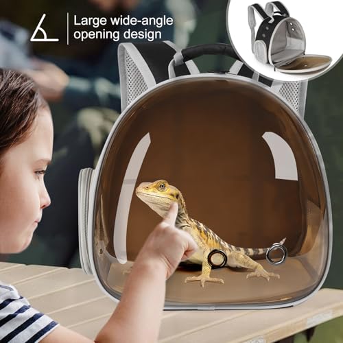 Bearded Dragon Travel Backpack with Harness and Leash Set (Black/Brown)