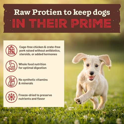 Primal Kibble in The Raw (9 Pound (Pack of 1))