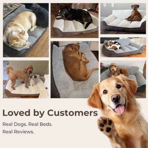 Extra Thick Orthopedic Bolster Dog Beds Large Sized Dog (Grey / 38"L x 28"W x 8.5"H)