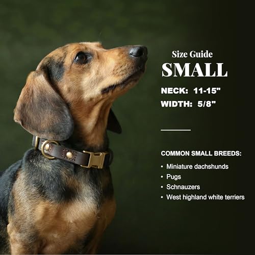 PU Leather Dog Collar for Small Dogs Puppy (Black / S: Neck 11-15", Width ⅝")