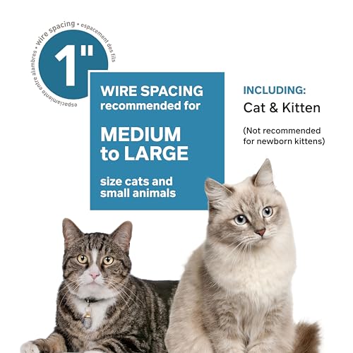 Premium Deluxe Cat Home (Premium)