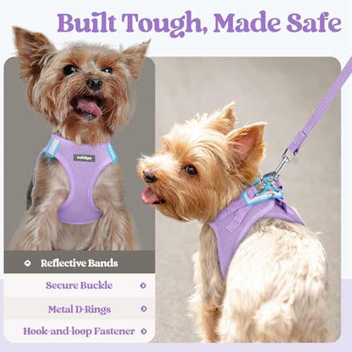 Dog Harness Medium Sized and Leash Set (Light Purple / Xxl (chest: 21.6 - 23.7"))
