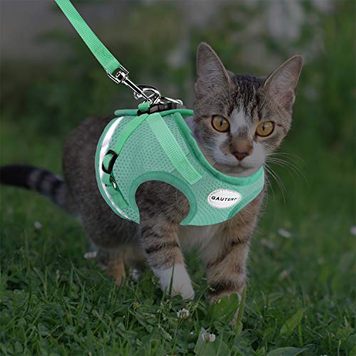 Cat Harness and Leash Set (M (Chest: 12" - 14") / Cyan)