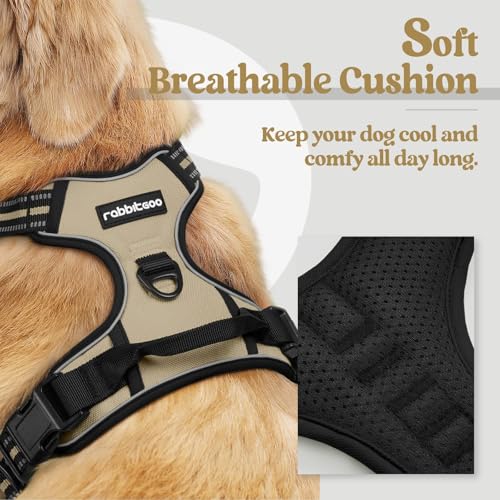 Dog Harness No Pull for Small Dogs with 2 Leash Clips (Small / Beige)
