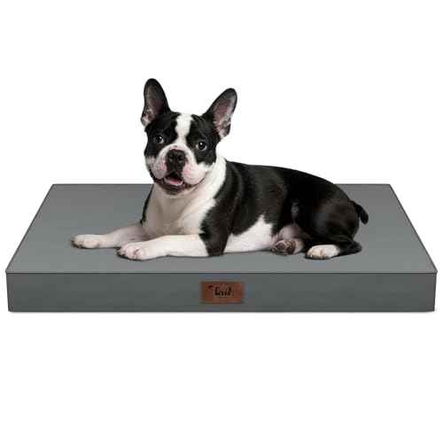Orthopedic Waterproof Dog Bed for Small Dogs and Cats (Grey / 29.0"L x 18.0"W x 3.0"Th)