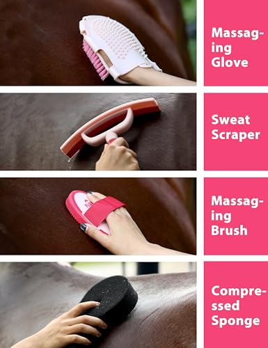 Horse Grooming Kit (Pink Garnet)