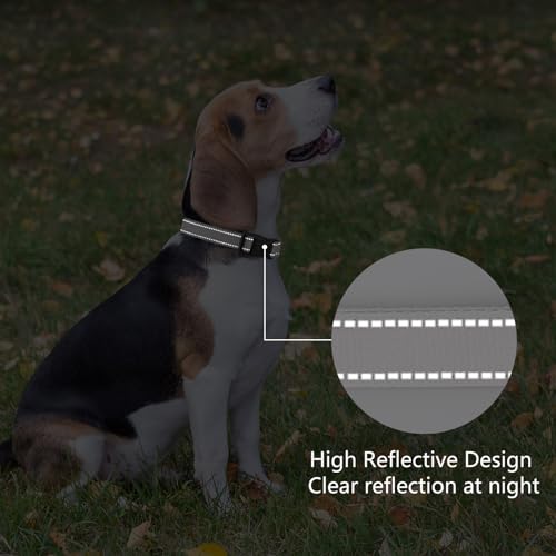 Reflective Dog Collar (Silver / XS:width 5/8"neck 8-10.5")