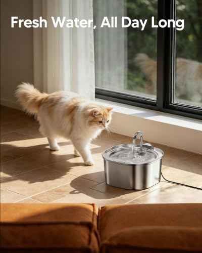 Cat Water Fountain