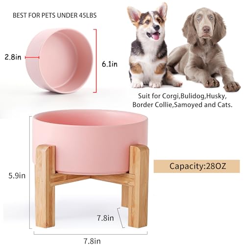 28 OZ Pink Elevated (Pink / 3.6 Cups - Medium)