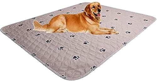 Washable Puppy Pads (31x36 Inch (Pack of 2))