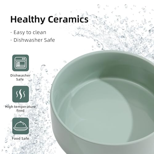 Raised Cat Bowl 5.1” Elevated Ceramic Cat Food and Water Bowl (Light Green)