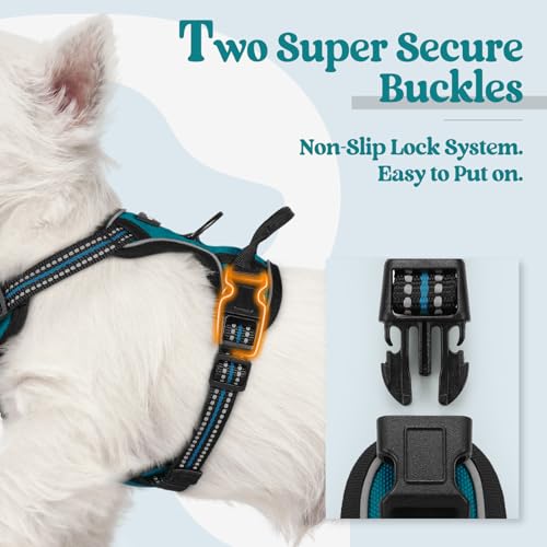 Dog Harness No Pull for Small Dogs with 2 Leash Clips (X-Small / Blue Coral)