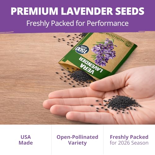 English Lavender Seeds