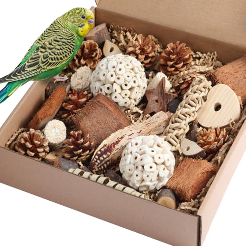 Bird Toys Parrot Natural Bird Foraging Box Foot Toys for Parakeets (Large)