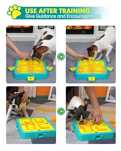 Dog Puzzle Toy Mental Stimulation (Level 3-Advanced-Blue Board)