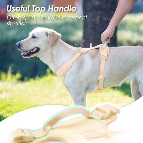 No Pull Dog Harness for Small Sized Dogs (Light Yellow / XS(Neck:11.8-16.5", Chest:14.2-19.7"))