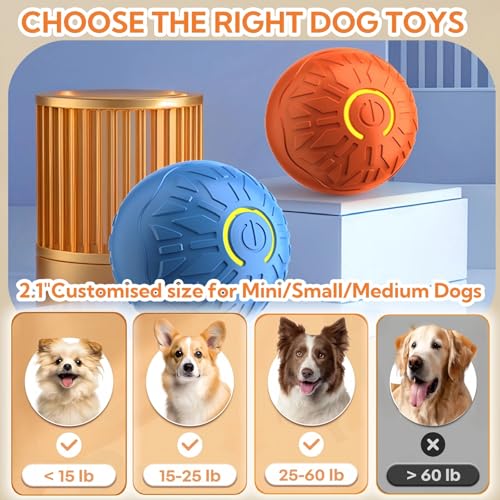 Interactive Dog Toys Dog Balls (Blue)