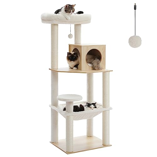 Cat Tree for Kittens