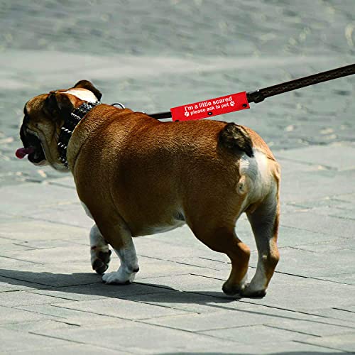 Funny Dog Leash Sleeve I'm a Little Scared Please Ask to pet Leash Wrap Alert Hanging ID Patch Tag Pet Birthday Gift (Little Scared-sleeve)