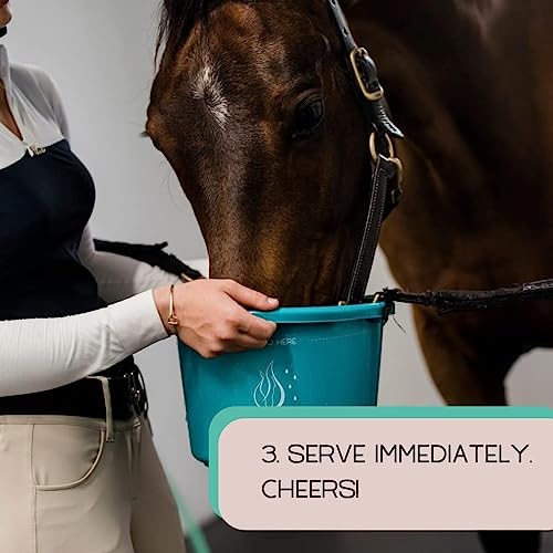 120 Pack All Natural Patented Equine Hydration Treat (120 Pack (120 oz))