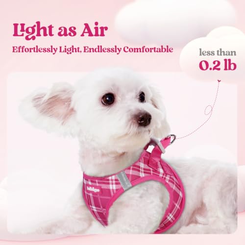 Dog Harness Small Sized and Leash Set (Rose Red Plaid / S (chest: 15.1 - 16.5"))