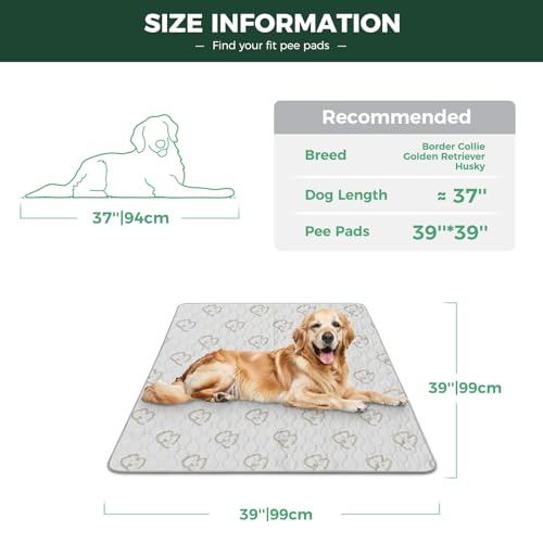 Washable Pee Pads for Dogs (Khaki / 39" Square (2 Packs))