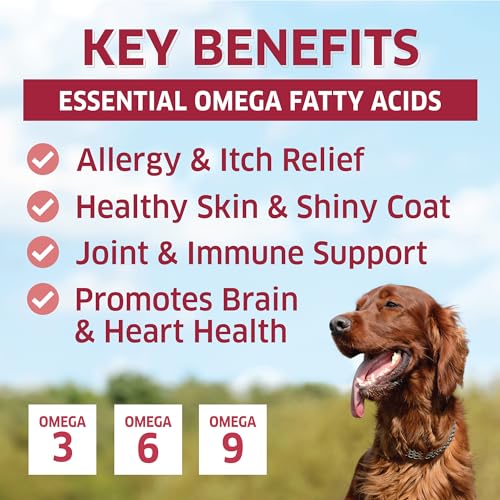 Salmon Oil for Dogs
