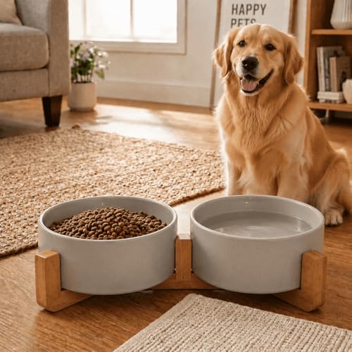 Ceramic Dog and Cat Bowl Set with Wooden Stand (5 cups / Grey × 2)