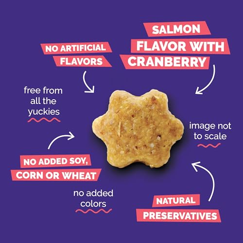 Crunchy Cat Treats (2.5 Ounce (Pack of 1) / Salmon & Cranberry)