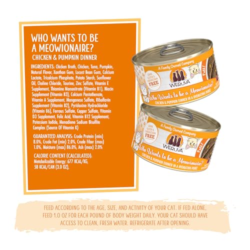 Wet Cat Food Who Wants to be a Meowionaire with Chicken and Pumpkin Pate