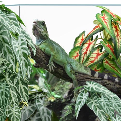 2 Pack Reptile Plants for Terrarium