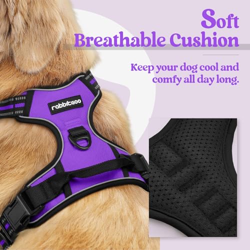 Dog Harness No Pull Medium Sized with 2 Leash Clips (Medium / Purple)