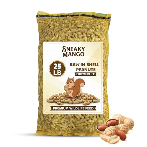 25 Pound Raw Peanuts in Shell (25 Pound (Pack of 1))