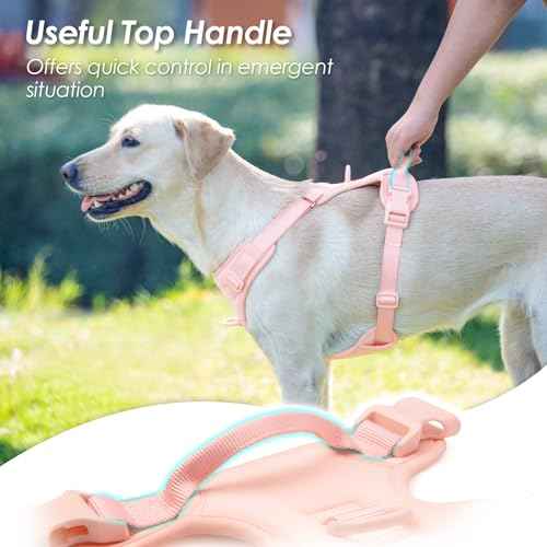 No Pull Dog Harness for Small Sized Dogs (Light Pink / S(Neck:15.7-22.0", Chest:17.3-24.8"))
