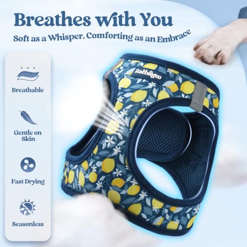 Dog Harness Small Sized and Leash Set (Navy Lemon / Xs (chest: 13.3 - 15.5"))