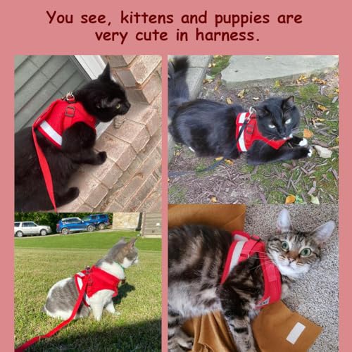 Cat Harness and Leash Set (M (Chest: 12" - 14") / Red)