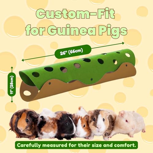Guinea Pig Tunnel and Tube (Green)