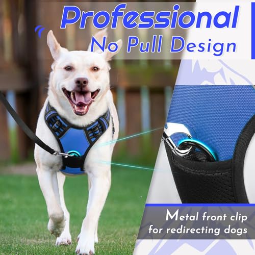 Dog Harness for Large Dogs (Large / Blue)