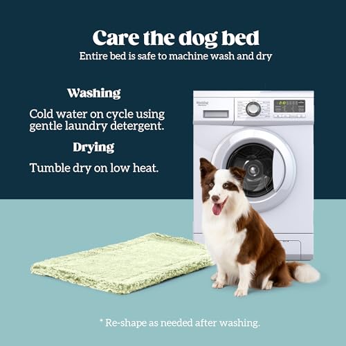 Stoutwool Indestructible Dog Bed (21.0"L x 12.0"W x 2"Th / Gleam)