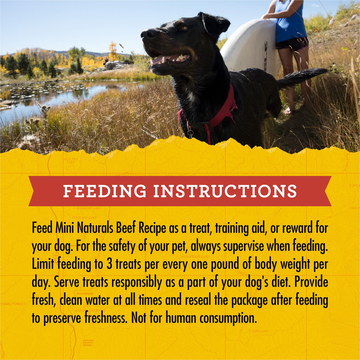 Mini Naturals Dog Training Treats (1 Pound (Pack of 1))