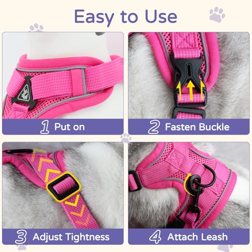 Vest Harness Leash Set for Small Dog Large Cat (Pink / XL)
