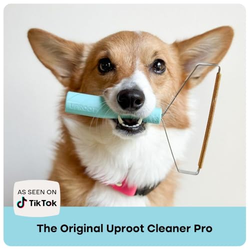 Pro Pet Hair Removal Tool