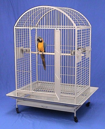 XX Large DomeTop Wrought Iron Bird Parrot Cage (Egg Shell White)